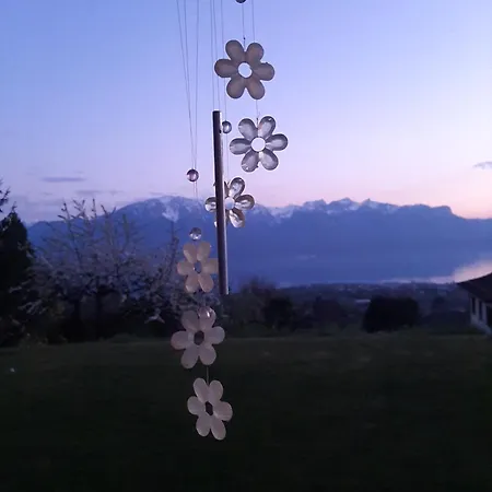 Ubytování v soukromí Au1807 Blonay