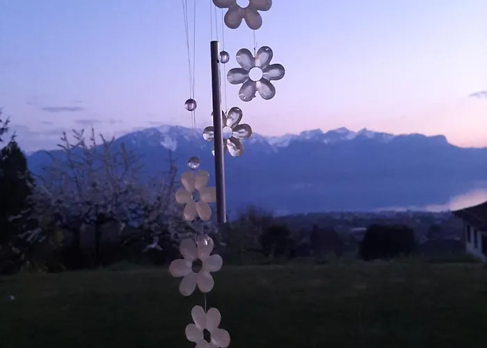 Privat bolig Au1807 Blonay